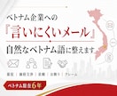 ベトナム企業に「言いにくい事」を伝わる文章にします 催促からお断りのメールまで、現役折衝窓口が整えます！ イメージ1