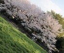 迷い、お悩み聞きます 人生には岐路があります。今進むべきか？立ち止まるべきか？ イメージ1