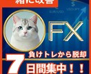 FX本気でガチ勝ち目指す人へトレードの土台作ります 元専業の私と勝ちたいあなたが”本気でトレードを見直す1週間” イメージ1