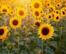 ヒントをあげます 一人で悩まないで！些細な事からでもOK！ イメージ6