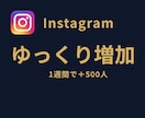 インスタのフォロワーを1週間で500人増やします ⭐徐々にフォロワーを増やしたい方に最適なサービスです⭐ イメージ1