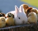 5分だけでも☆お話聞きます 些細な事、他人に言いにくい事、たった5分からでもOKです！ イメージ4