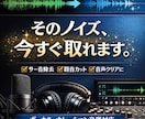 ボイス、ボーカル音源のノイズ除去を丁寧に行います プロのエンジニアが聞き取りやすい音源を作ります イメージ1