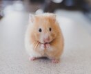 生きている子・亡くなった子どちらでも対応します 霊視で愛するパートナ―の心に語り掛けます。 イメージ8