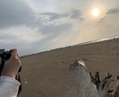 お好みにあった写真を提供できるようにします 写真提供致します。風景や動物の写真を提供します。 イメージ3