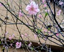 あなたの本質と未来を占います 誰にも言えない悩みここで話しませんか イメージ3