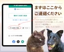 星空のように輝く瞳のペット似顔絵お描きします スマホ待ち受け画像もプレゼント／額装できます／犬猫小動物OK イメージ9