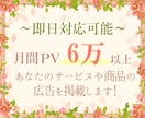 月間6万PV以上！ブログに1ヵ月広告掲載します 期間中あなたの広告が全てのページで表示！アクセス数UPに！ イメージ1