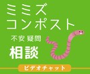 ミミズコンポストの疑問や相談に応じます ミミズコンポストをはじめる人に不安や疑問を解消 イメージ1