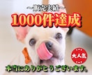 TikTok投稿をPRしてフォロワーを増加させます フォロワー増加特化型！日本人ユーザーがフォローいたします!! イメージ6