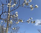 悩み相談愚痴 雑談相談恋愛等皆様のお話お聞きします 現役専門学生がお話をお聞きします！ イメージ1