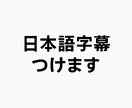 youtube動画に字幕(.srt)をつけます 100分の動画にsrt字幕を速く丁寧に作ります イメージ1