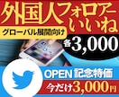Twitterで世界を視野に活動する方を応援します 日本の人口とは比べものにならない数の世界ユーザーにアプローチ イメージ1