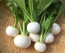 自然栽培・有機栽培による野菜の作り方を教えます 無農薬・無肥料又は有機肥料・固定種による野菜栽培を伝授 イメージ7