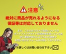 ココナラ専用の商品紹介ページ制作します 【★新規出品につき3名様限定価格と致します★】 イメージ6
