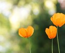 簡単に覚える方法をシンプルに伝えます まとめてありますので参考にしてください。暗記にもコツです。 イメージ1