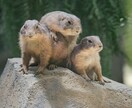 なんとなく話したい方。お話し聞きます ゆるゆる話したい方。楽しい時間を過ごしましょう♪ イメージ8