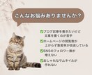サムネイル画像付き！女性の悩みについて執筆します 女性に多い悩みに関する記事を現役のライターが執筆します イメージ3