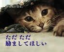 そばにいるよ♡ 話したいに 寄添います 心のホコリやチリを吐き出すことを日常に♡ イメージ5
