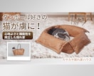 広告バナーをデザインします 目を引くデザインで広告効果をサポート イメージ2