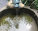 貴方の中にある龍のエネルギーを活性化します エネルギーワークし、してる間に感じとったことをお伝えします イメージ1