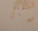 動物の似顔絵描きます シンプルで優しいペットの似顔絵描きます イメージ5