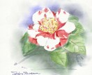 大好きなお花をデジタル水彩画で描きます 季節に合わせたお花を絵葉書にしてみませんか イメージ8