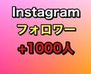 インスタグラムのフォロワーを1000人増やします 見栄えの良いアカウントにする事ができます イメージ1