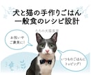 犬と猫の手作りレシピ(一般食)を作成いたします ペット栄養管理士兼獣医師による手作りレシピ作成サービスです イメージ1