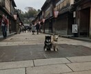 地元民が知っている金沢旅プランつくります 加賀から能登まで石川の地元情報もりだくさん！ イメージ3