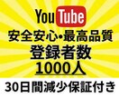 YouTube登録者数1000人増やします 超格安！YouTube登録者1000人増加！ イメージ1