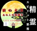 精霊スピリット霊視｜引き寄せ｜彼の本音を霊視します 彼の本心を知りたい！高次元宇宙から恋の現在地を読み解きます イメージ1