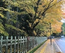 この世の法則(人間関係編) お教えします 人間関係で悩んでいる方へ。その原因解消の糸口に。 イメージ1