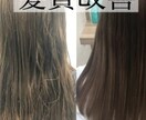 髪質改善のアドバイスします 髪質で悩んでいる人へ。理想の髪質を手に入れませんか？？ イメージ1