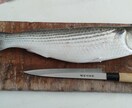 ボラ料理についてアドバイスします 秋から冬にかけてのボラを一度食べてみて下さい イメージ1