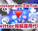 各種SNS投稿を⇨Twitterで運用代行します Instagram TikTok⇨Twitter運用拡散付き イメージ1