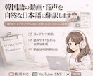 韓国語の動画・音声を自然な日本語に翻訳します 配信・コンテンツも対応｜自然な言い回しに調整 イメージ1