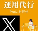 30日間 X(旧ツイッター)運用代行します 【コスパ◎】【丸投げOK】【完全手作業代行】 イメージ1