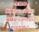 気功師が四柱推命で子供の気持ちや能力を紐解きます 気功師の視点で成績アップ、不登校や反抗期の悩みも解決へ イメージ3
