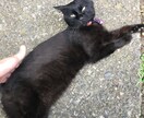 主に恋愛で悩んでる方へアドバイスいたします。ます 周りの歳上は気を遣ってしまい相談できない方など イメージ1