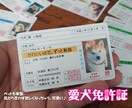 身分証情報を持ち歩く、可愛い愛犬免許証を作ります 本物の免許証とほぼ同サイズなので財布に入れて持ち歩きやすい♪ イメージ1