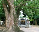 日本の神様たちからお言葉を伺います カード（とダウジング）で、アナタの背中をちょこっと後押し♪ イメージ4