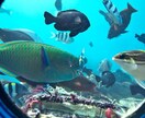 旅行プランをPDFでお洒落な旅のしおりにします スマホで持ち歩けるPDFで旅のしおりをお渡しします イメージ8