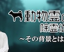 webメディアに使用する画像の制作を致します 用途や媒体問わずお引き受けします！ イメージ2