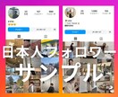 インスタ 日本人フォロワー＋100人増やします 安心・安全・高品質 ◎30日間の補填保証つき イメージ2