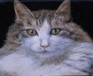 主に猫を油絵で写実的に描きます 愛猫がずっと貴方と共にあります。 イメージ2