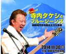 多ジャンル対応。チラシ・フライヤーを制作いたします 実績30年以上。目を引くチラシ・フライヤーに仕上げます。 イメージ5