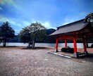 映えを意識した写真を提供します 日常にあるけど誰も気づかない素敵な1枚で人を魅了しよう イメージ4
