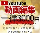 YouTube向け動画編集致します 3000円ポッキリ【オプション料金一切無し】 イメージ1