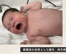 NETFLIX風 結婚式ムービーを作成します 誰もが知るネトフリのパロディムービーで式場を盛り上げよう！ イメージ3